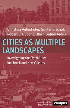 Cities as Multiple Landscapes