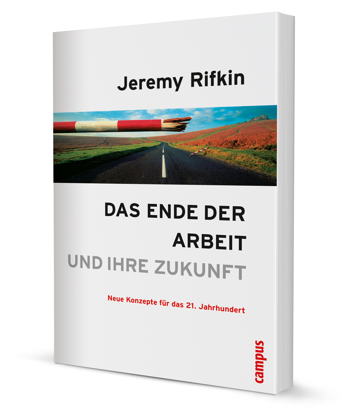 Das Ende der Arbeit und ihre Zukunft