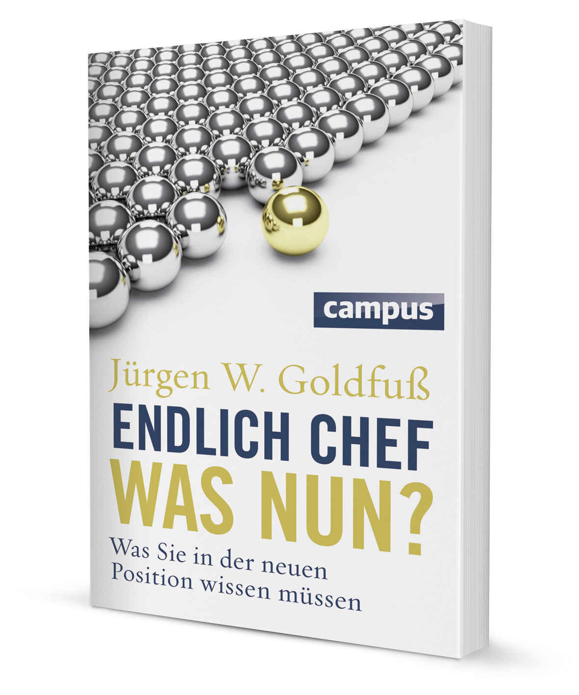 Endlich Chef - was nun?