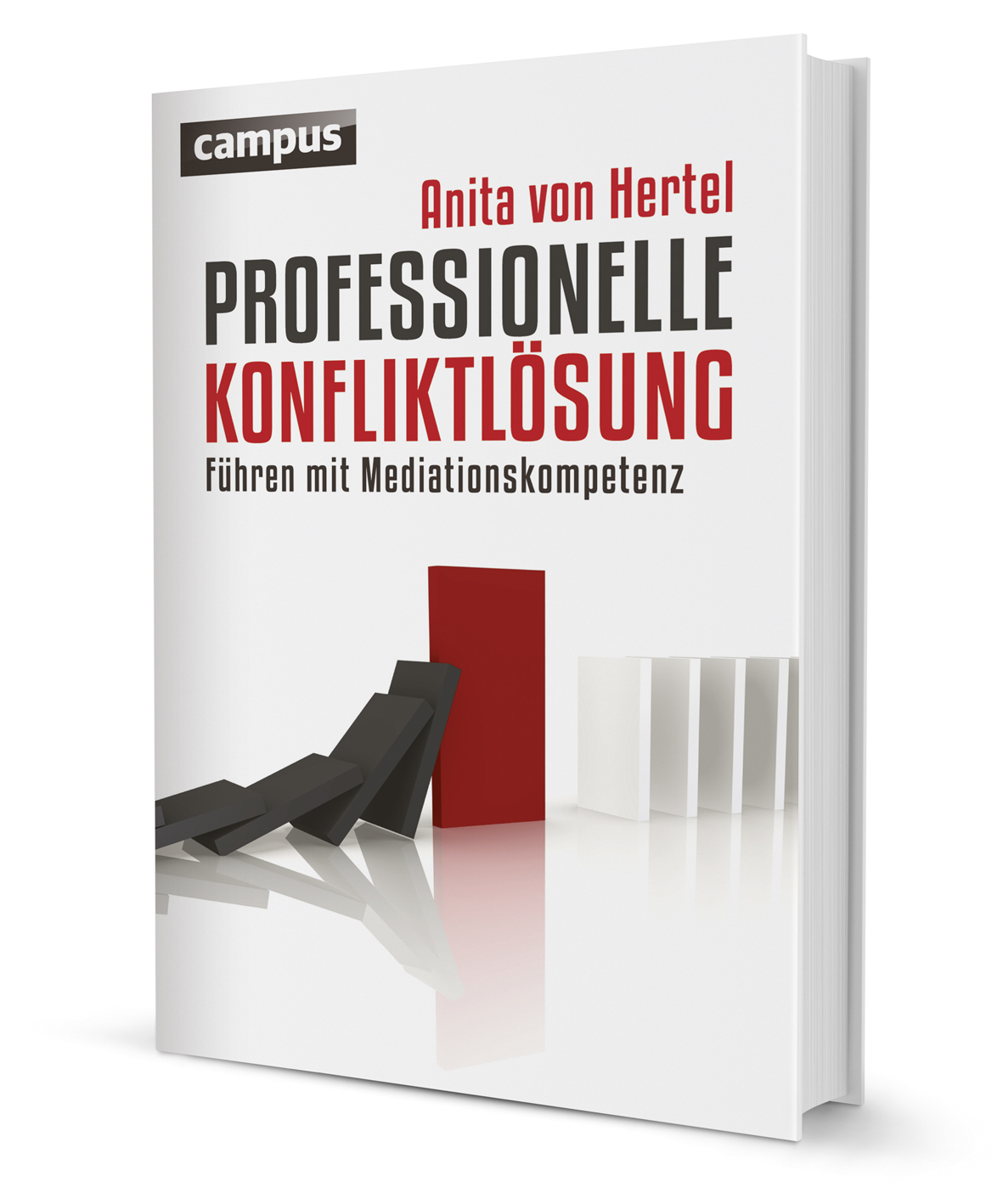 Professionelle Konfliktlösung