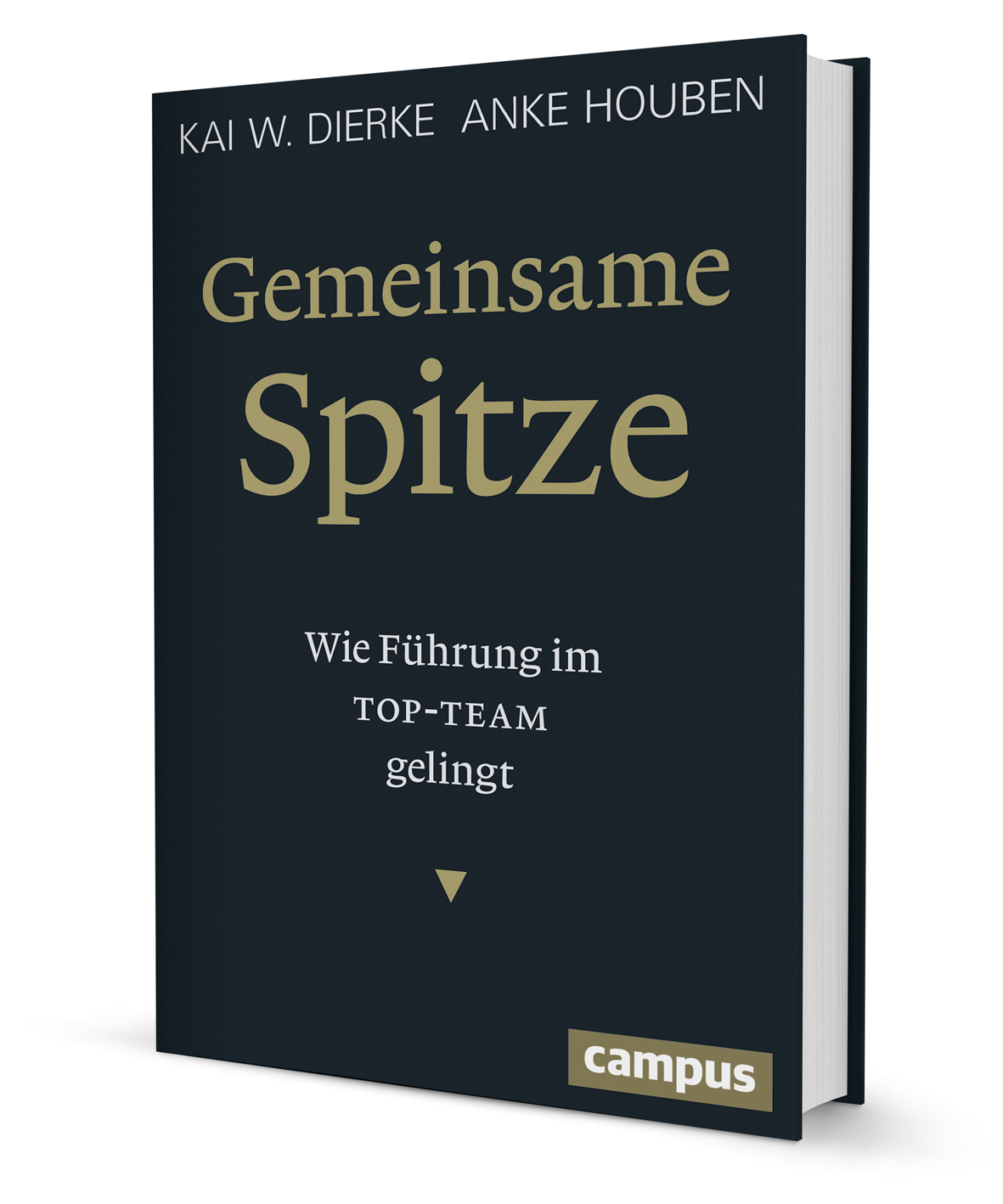 Gemeinsame Spitze