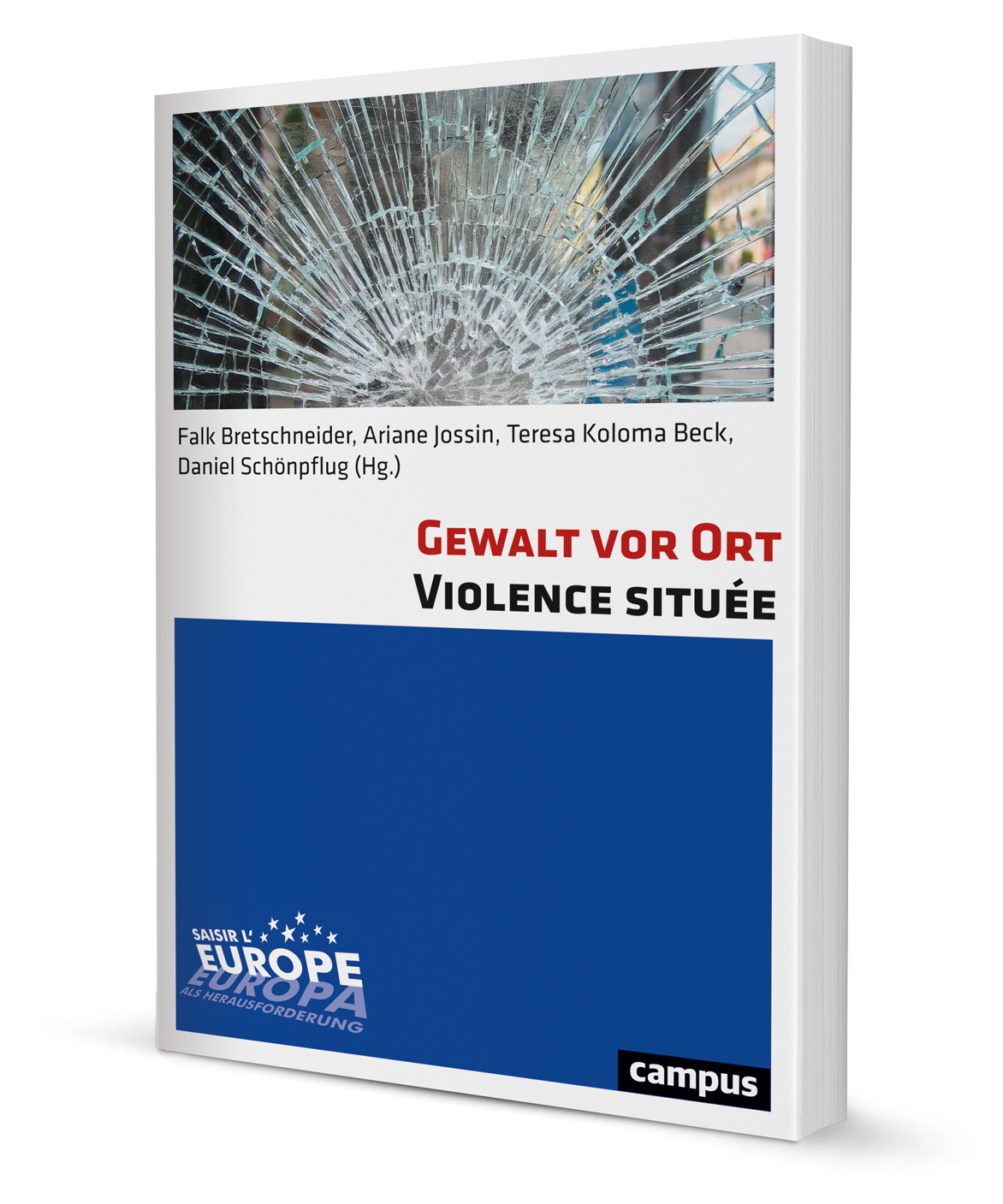 Gewalt vor Ort. Violence située