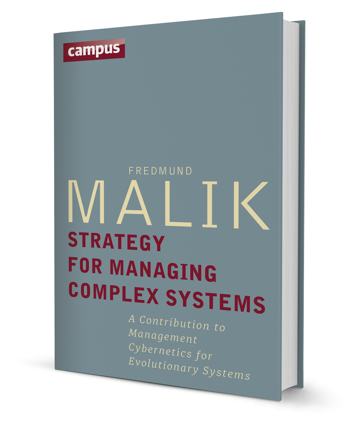Strategy for Managing Complex Systems