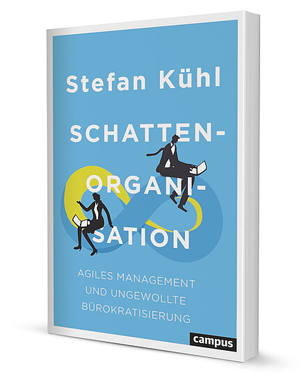 Schattenorganisation