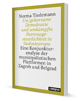 Un/gehorsame Demokratie und umkämpfte Patronagestaatlichkeit in Südosteuropa