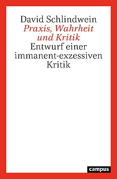 Praxis, Wahrheit und Kritik