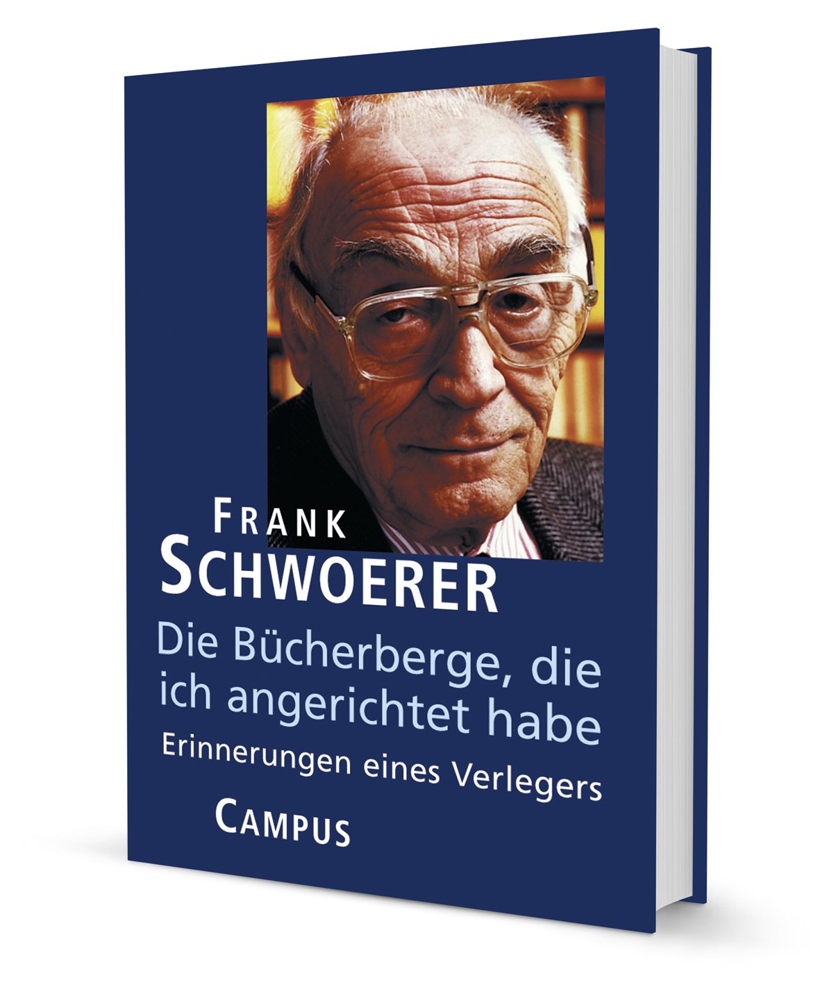 Die Bücherberge, die ich angerichtet habe