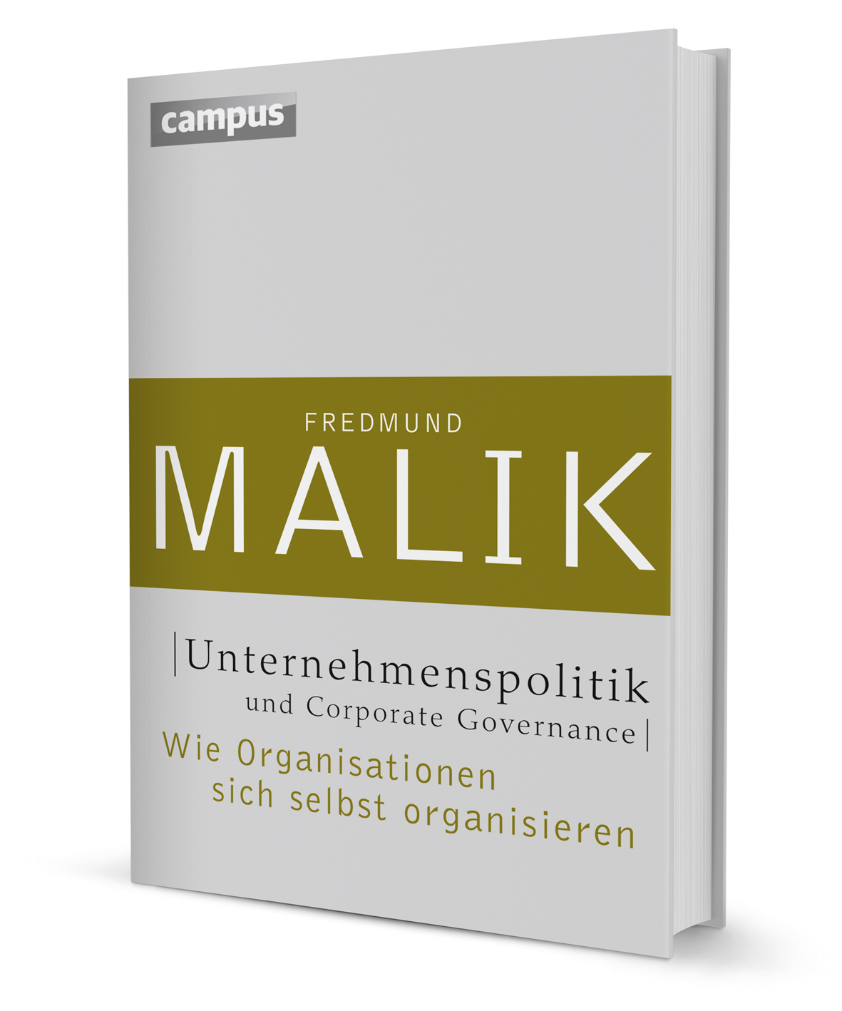 Unternehmenspolitik und Corporate Governance