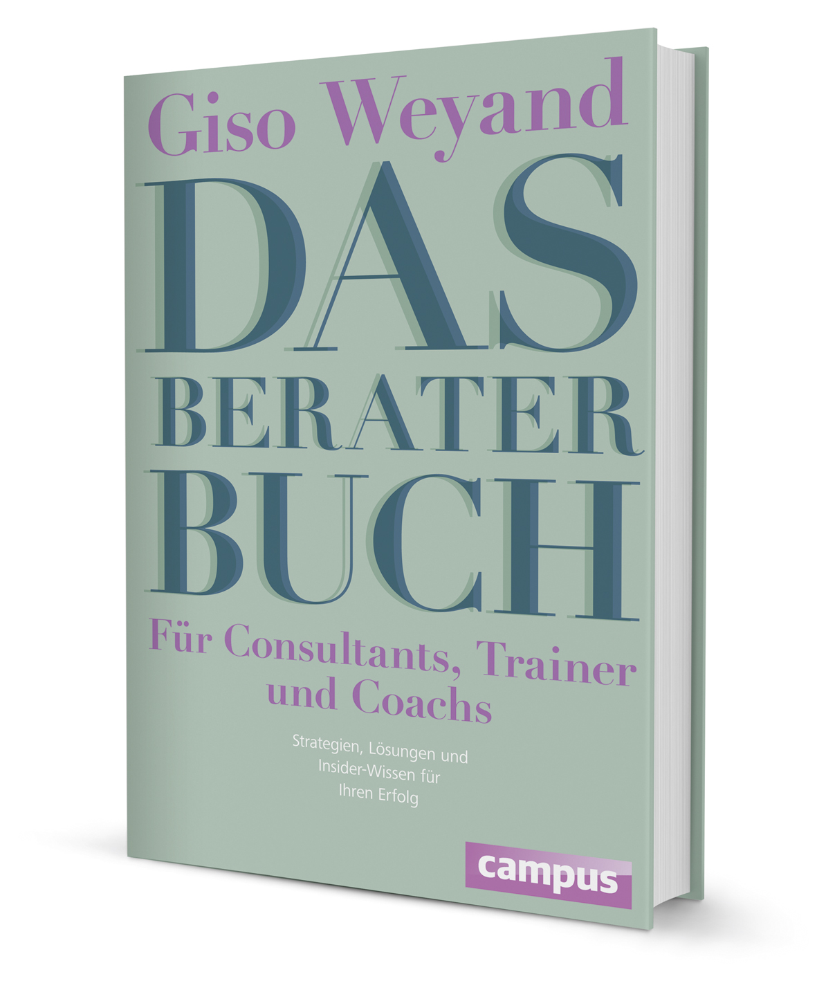 Das Berater-Buch - Für Consultants, Trainer und Coachs