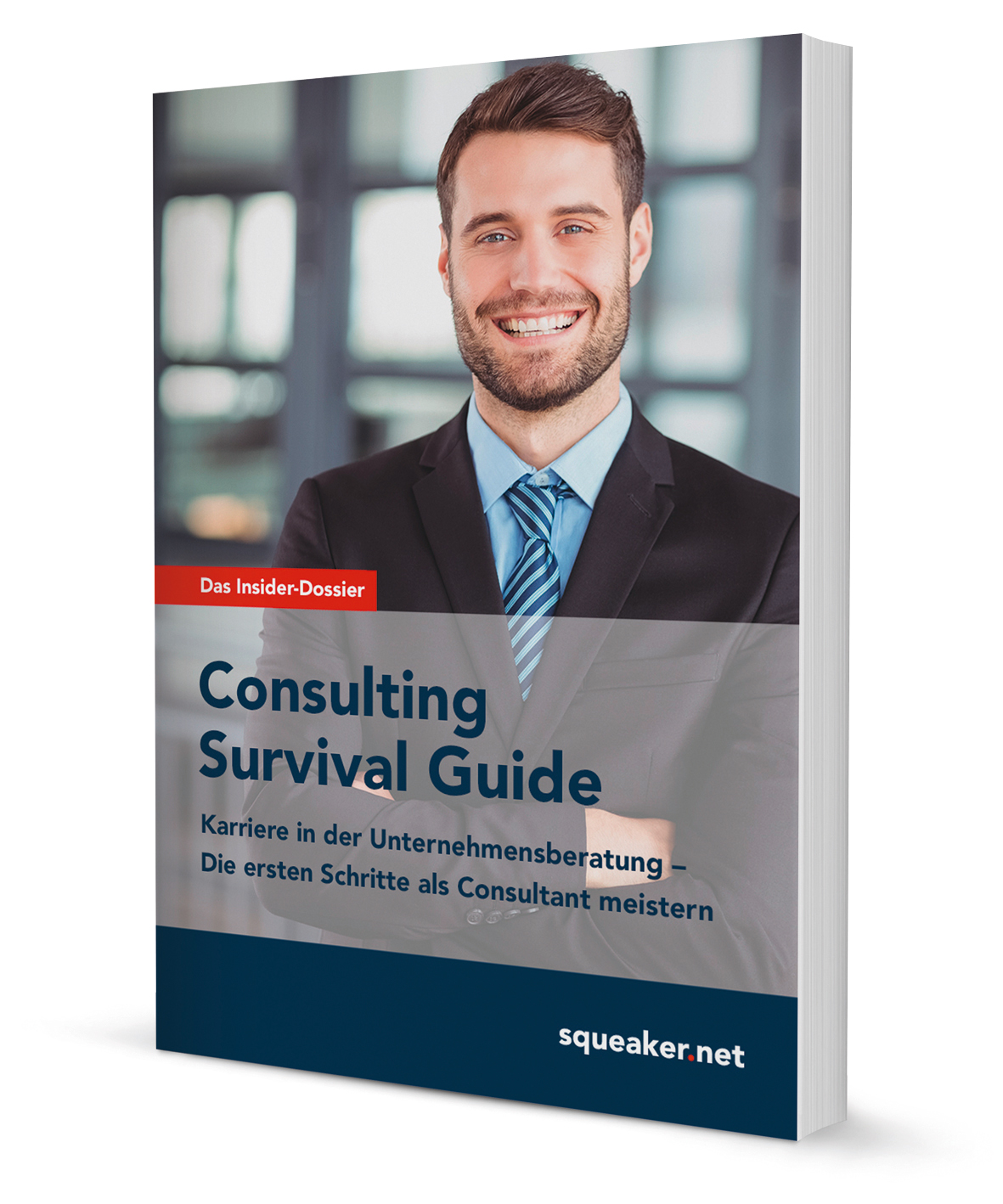 Das Insider-Dossier: Consulting Survival Guide