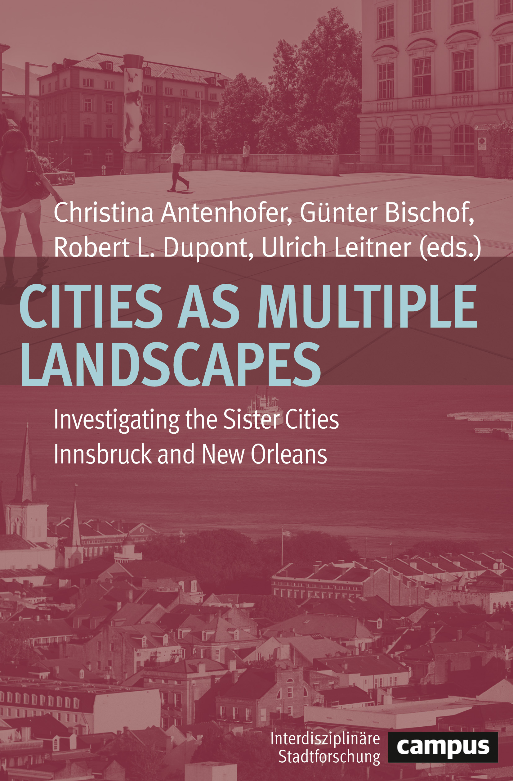 Cities as Multiple Landscapes